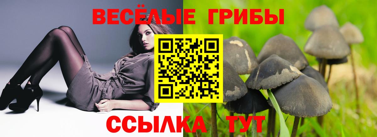 Псилоцибиновые грибы GOLDEN TEACHER  Псилоцибиновые грибы Psilocybine cubensis  Коряжма  Вход с VPN 